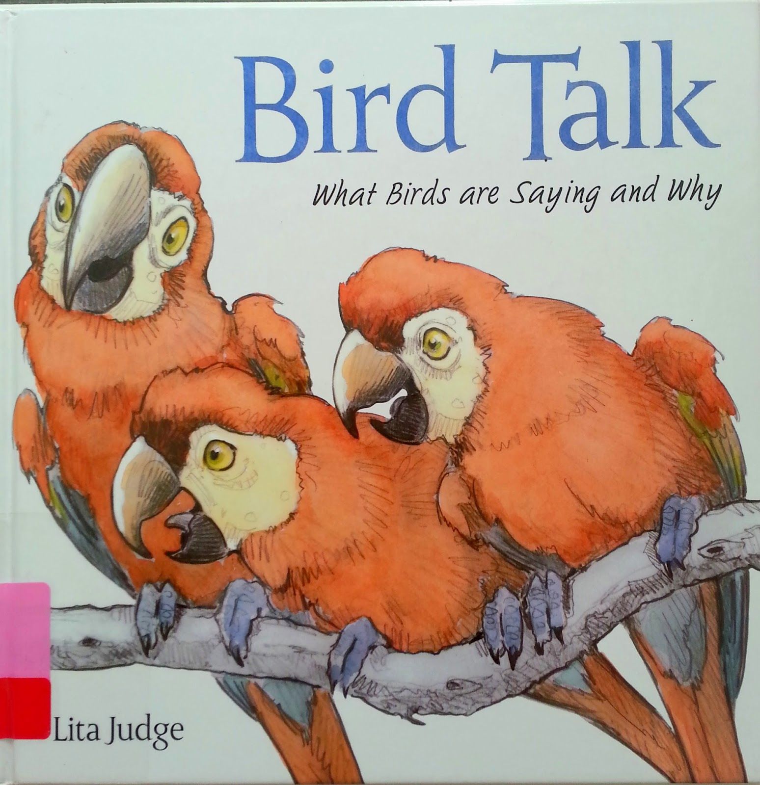 birds-page-4-let-s-learn-all-about-it